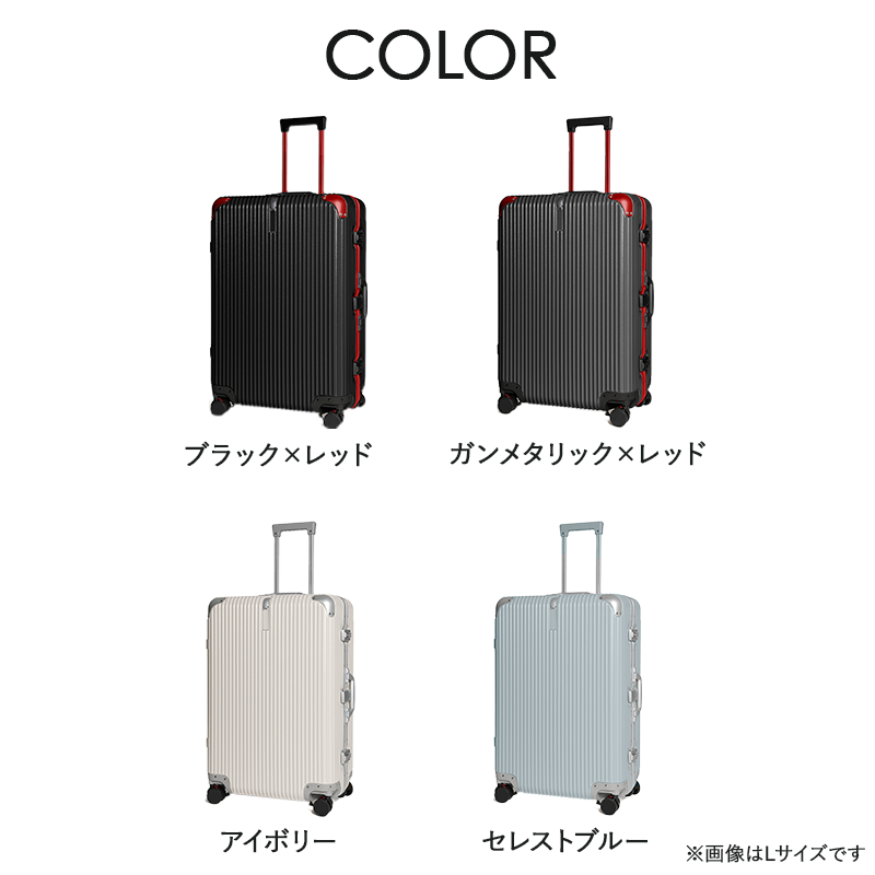REXUS(レクサス)PROEVO フレームタイプ 53L 12002g