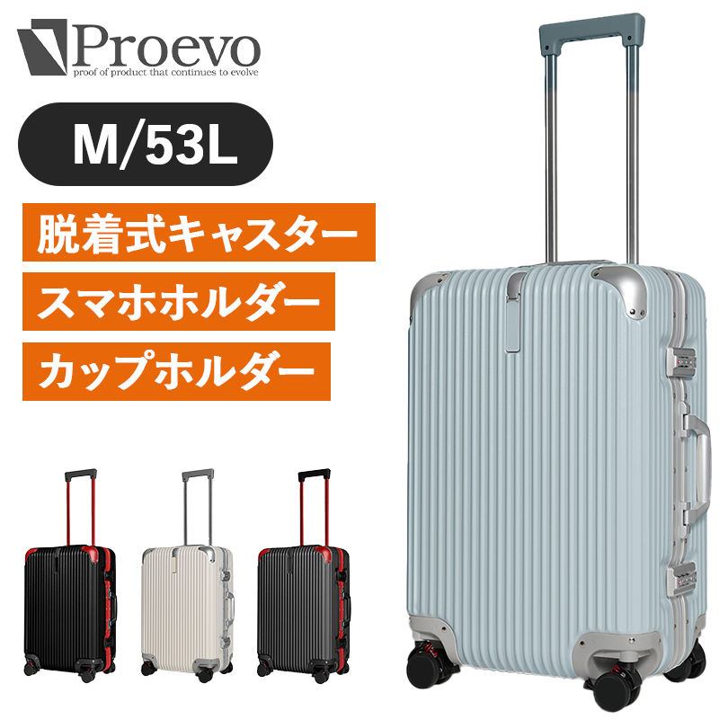 REXUS（レクサス）PROEVO フレームタイプ 53L　