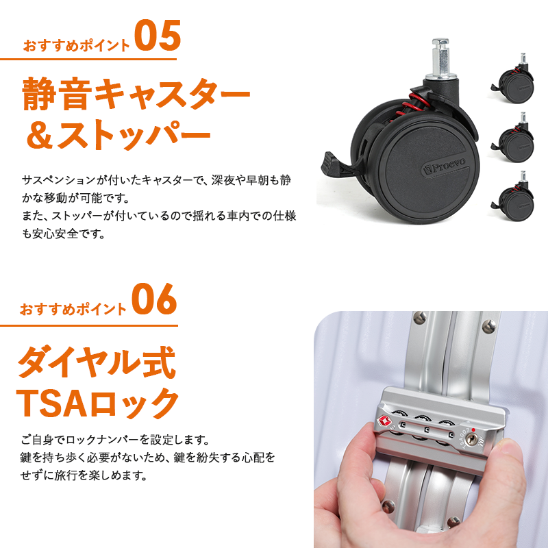 REXUS（レクサス）PROEVO フレームタイプ 53L　