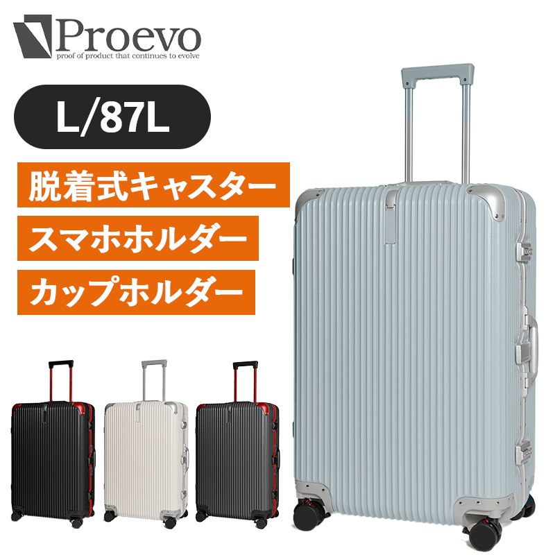 REXUS（レクサス）PROEVO フレームタイプ 87L　